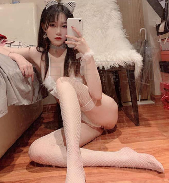 作品截图