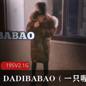 抖M小妹子DADIBABAO私拍合集:195个视频,2.1G