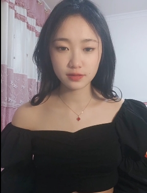 百度盘自行打包:半糖顶点合集,34个Vlog+39个GIF,清晰舒适观看