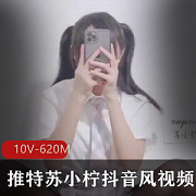 推特网红抖音风苏小柠最新合集10V620M,玩具与弹力摇结合,精彩纷呈!