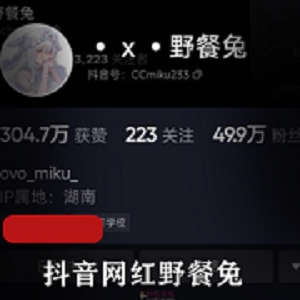 抖音网红变装资源野餐兔最新合集19V472M，L舞与道具精彩不断