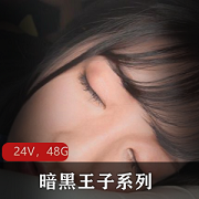 暗黑王子系列24部剧情合集48.2G岛国神作