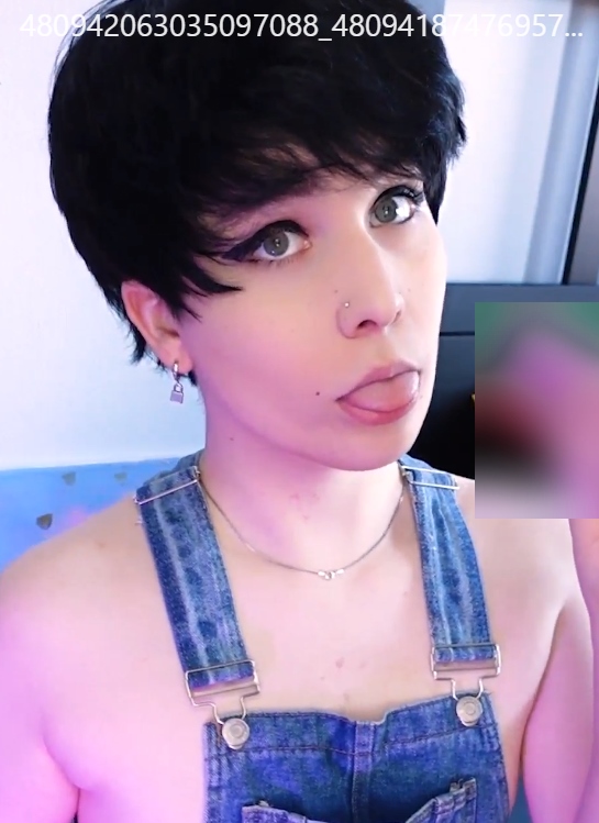 6.7G自制打包hunnypaint伪娘选集26部超吸睛