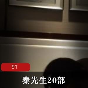 91秦先生视频合集20部超值