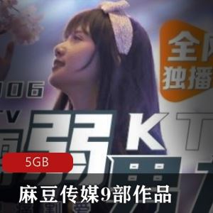 麻豆及合作伙伴9部高质合集